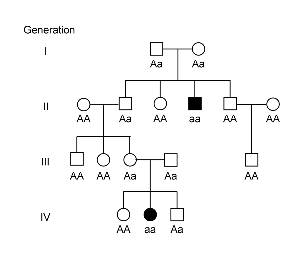 pedigree